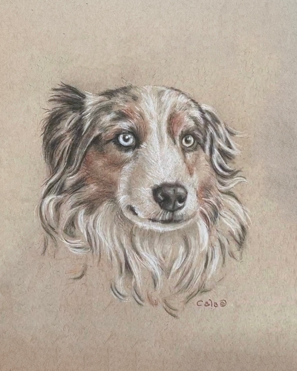 Fur Baby Pet Portrait Gift Certificate
