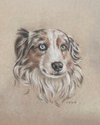 Fur Baby Pet Portrait Gift Certificate
