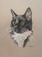 FurBaby Portrait Commission