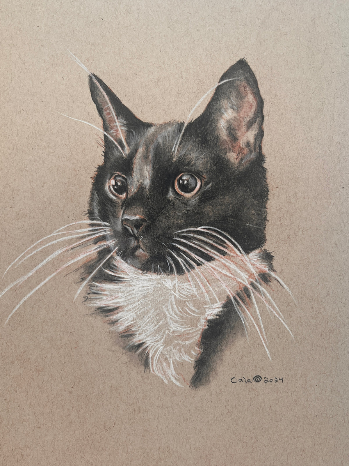 FurBaby Portrait Commission