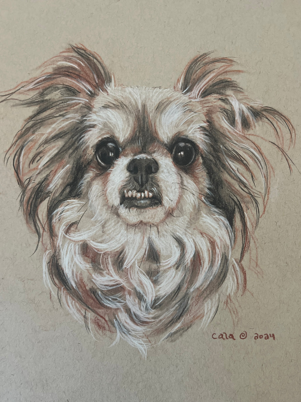 FurBaby Portrait Commission
