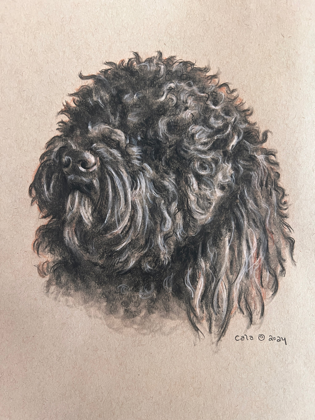 FurBaby Portrait Commission