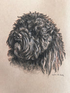 FurBaby Portrait Commission