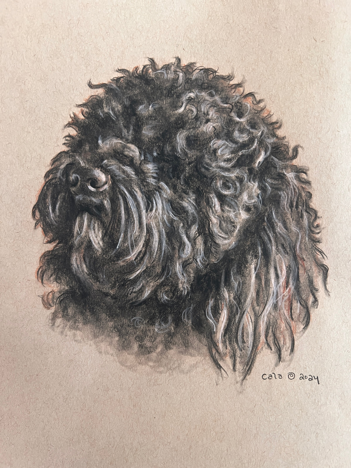 FurBaby Portrait Commission