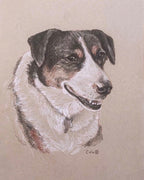 Fur Baby Pet Portrait Gift Certificate
