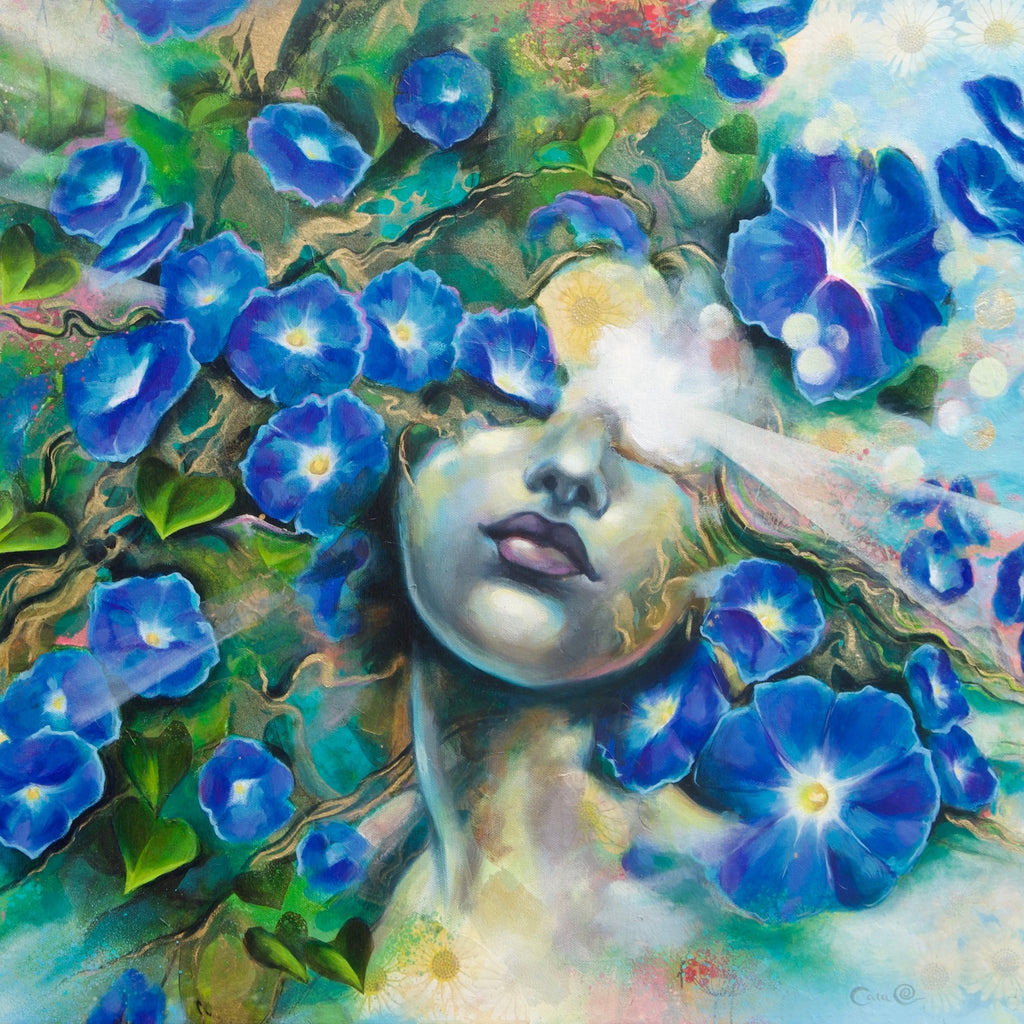 Morning Glory