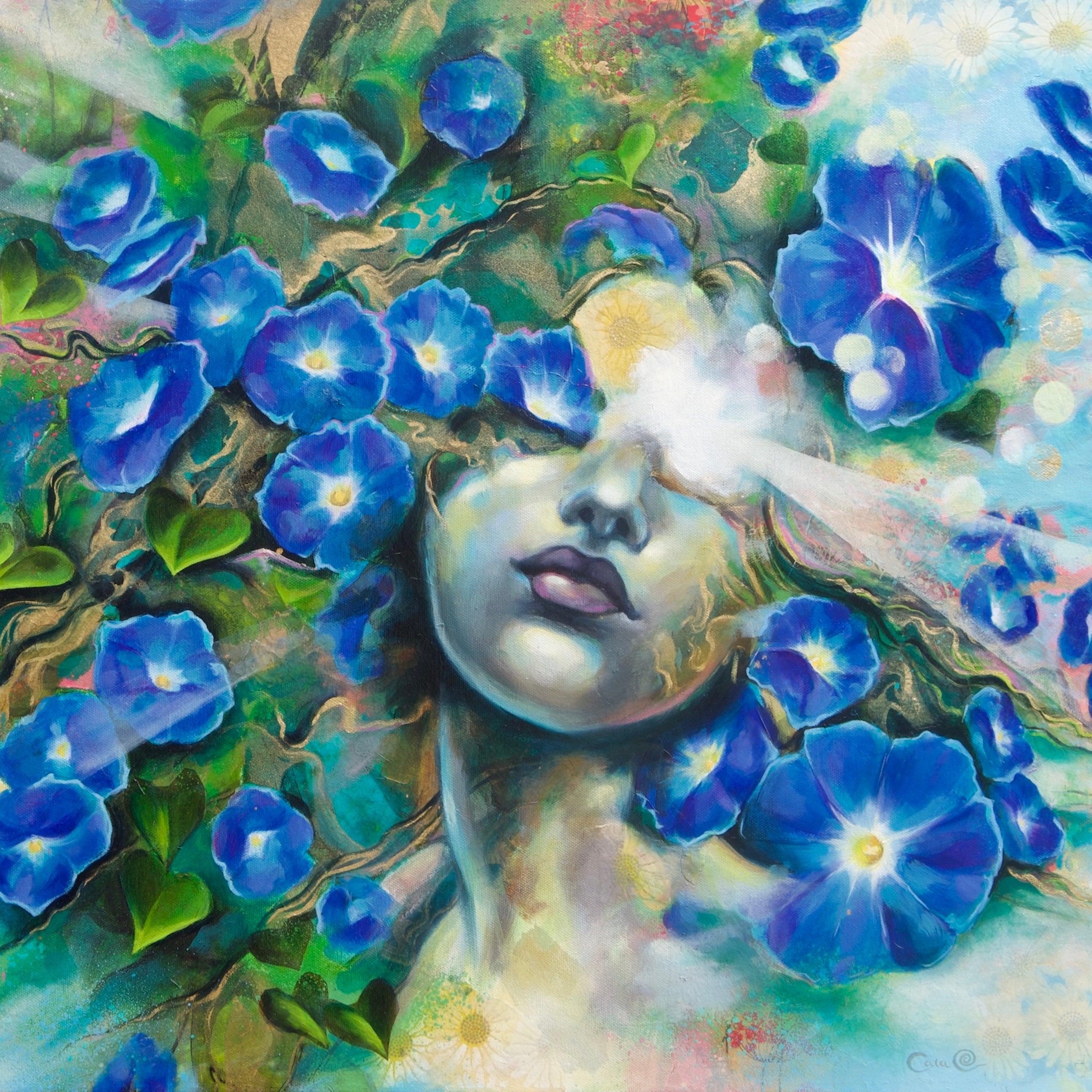 Morning Glory
