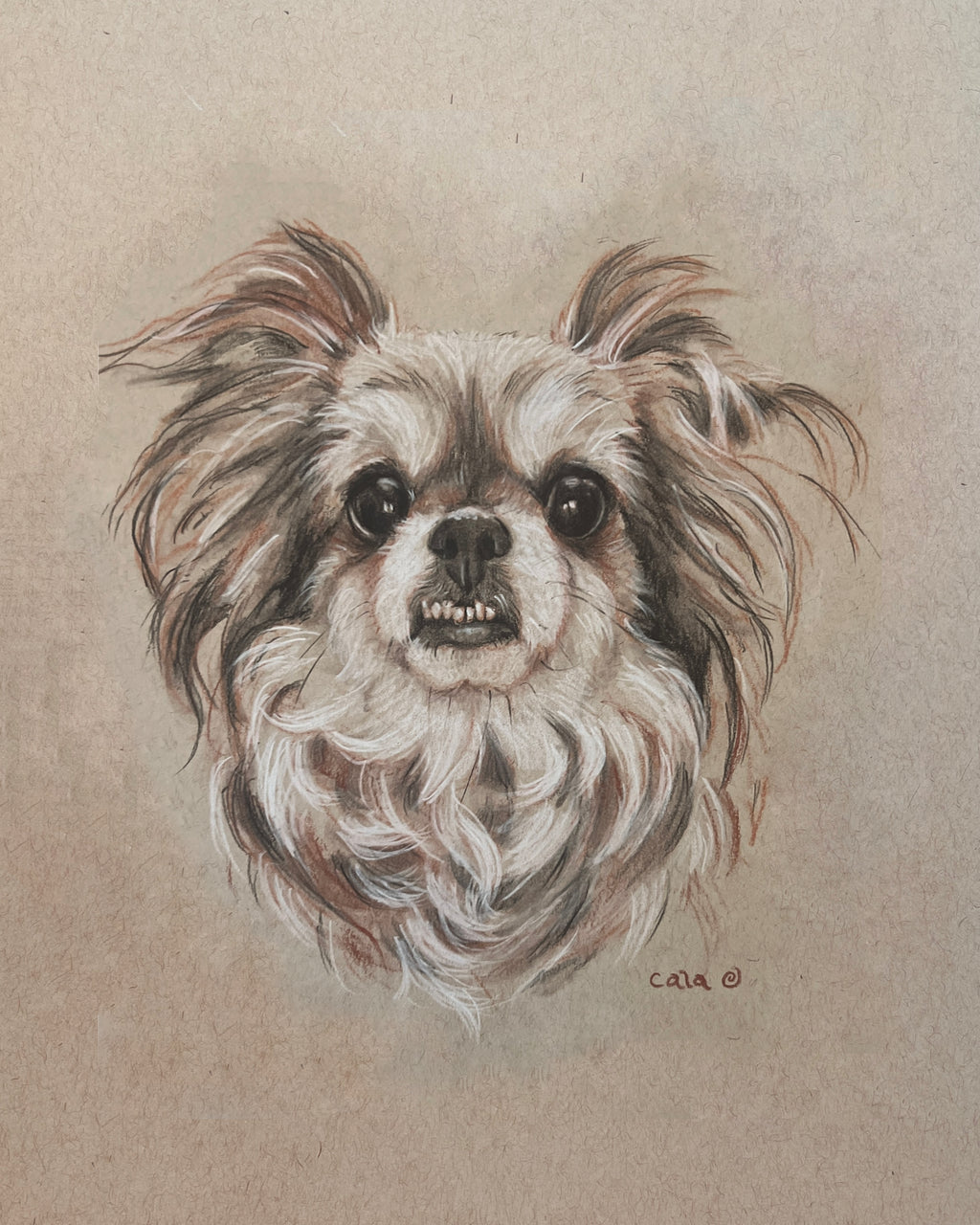 Fur Baby Pet Portrait Gift Certificate