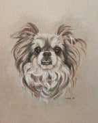 Fur Baby Pet Portrait Gift Certificate