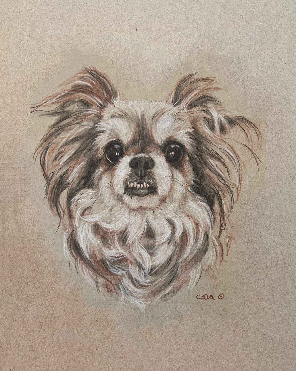 Fur Baby Pet Portrait Gift Certificate